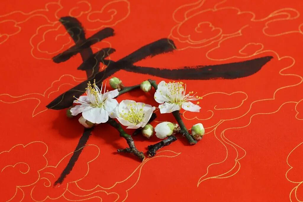 今天4时01分，重庆已正式进入……